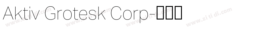 Aktiv Grotesk Corp字体转换